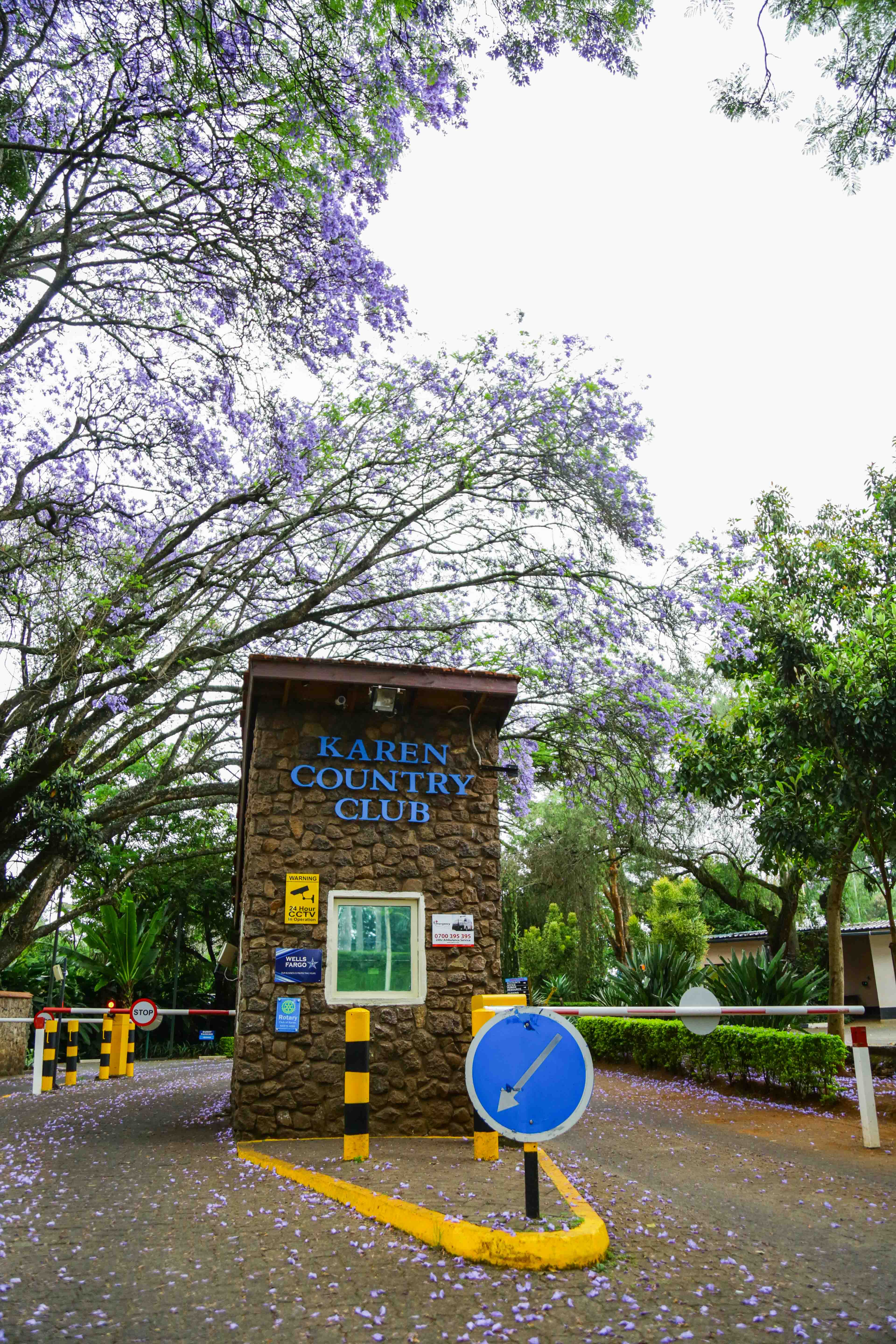 White Cap Draught at Karen Country Club: A Perfect Pour in Kenya's Most Historic Clubhouse