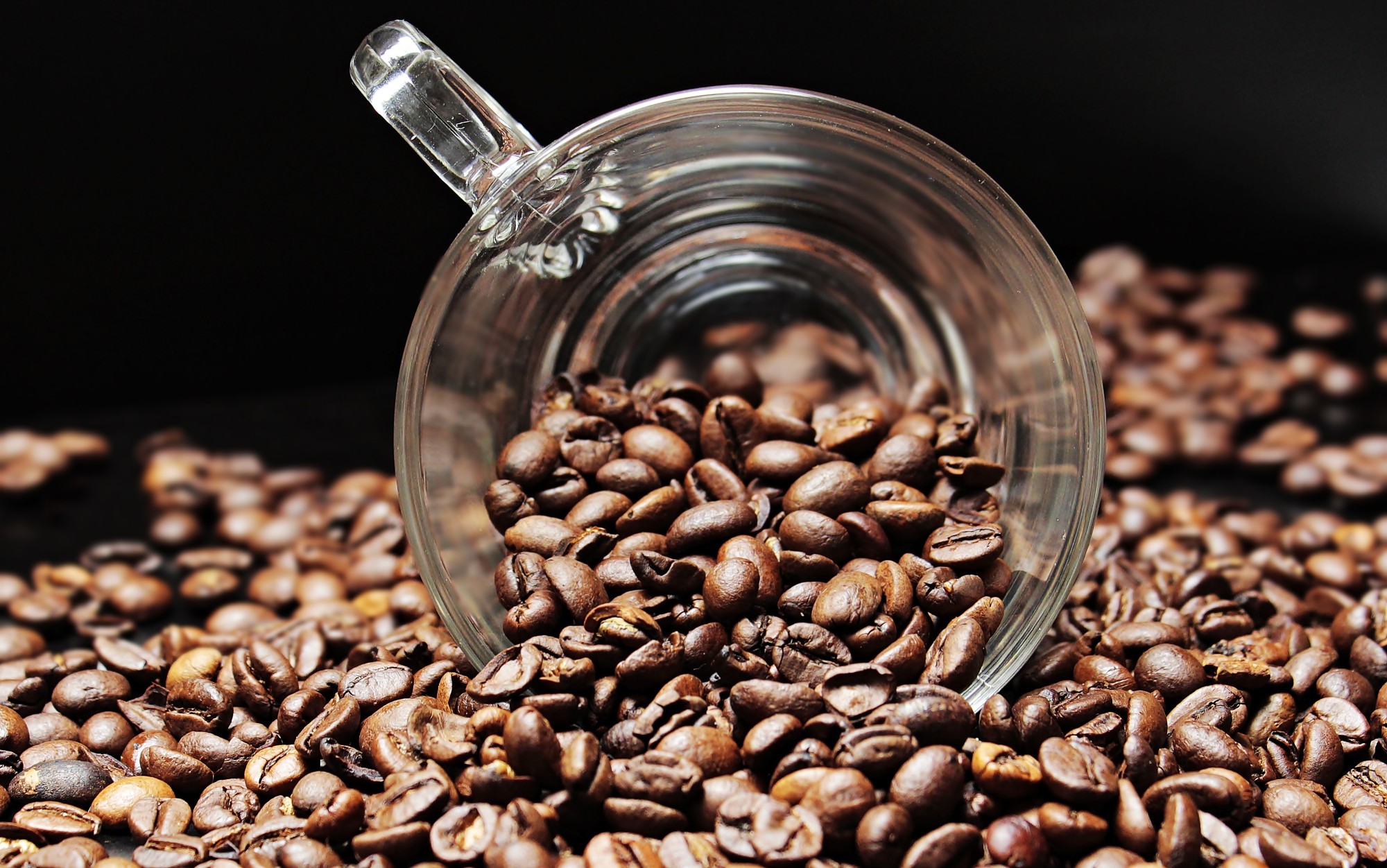 Ground to cup: four Kenyan coffee farms offering experiences worth leaving the city for